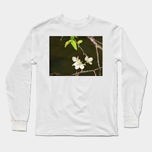 Cherry Blossoms Long Sleeve T-Shirt